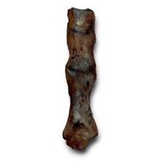 Anco Natural Ostrich Feet thumbnail 