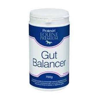 Protexin Gut Balancer 700g thumbnail