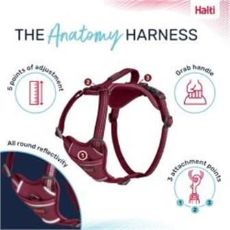 Company of Animals Anatomy Harness Magenta XLarge thumbnail 