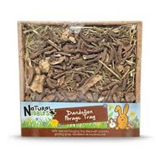 Natures Grub Dandelion Forage Tray 70g thumbnail 