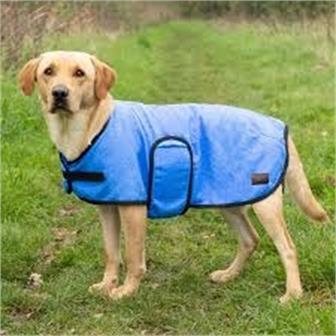 Benji & Flo Dog Cooling Coat Blue XLarge thumbnail 