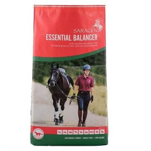 Saracen Essential Balancer 20kg Image 1