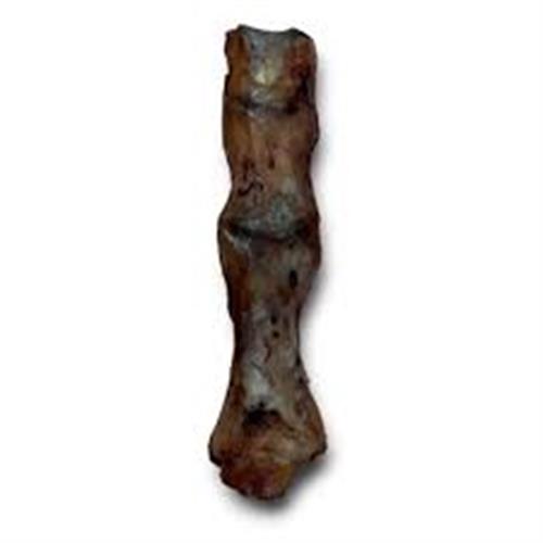 Anco Natural Ostrich Feet Image 1