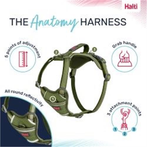 Company of Animals Anatomy Harness Green Medium Image 1