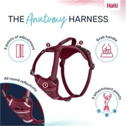 Company of Animals Anatomy Harness Magenta Large Image 1