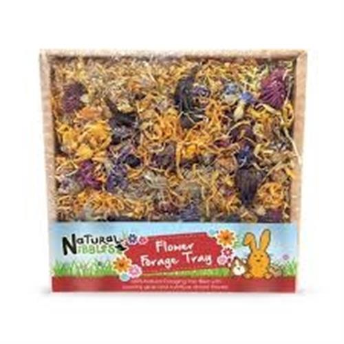 Natures Grub Natural Nibbles Flower Forage Tray 70g Image 1