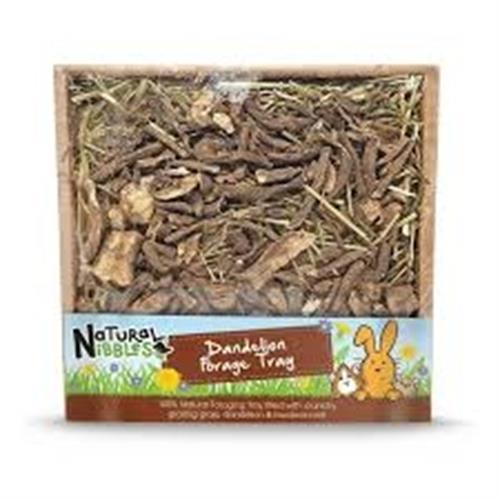 Natures Grub Dandelion Forage Tray 70g Image 1