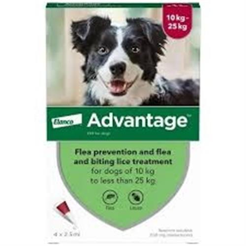 Advantage 250 Spot-On Solution for Dogs 4 Pipettes Image 1